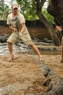 Training to catch crocodile