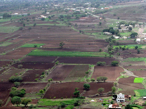 Fields below Shivneri Fort